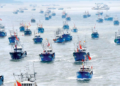 Chile monitorea de cerca una flota de 370 embarcaciones chinas en aguas nacionales - foto: Central Noticia